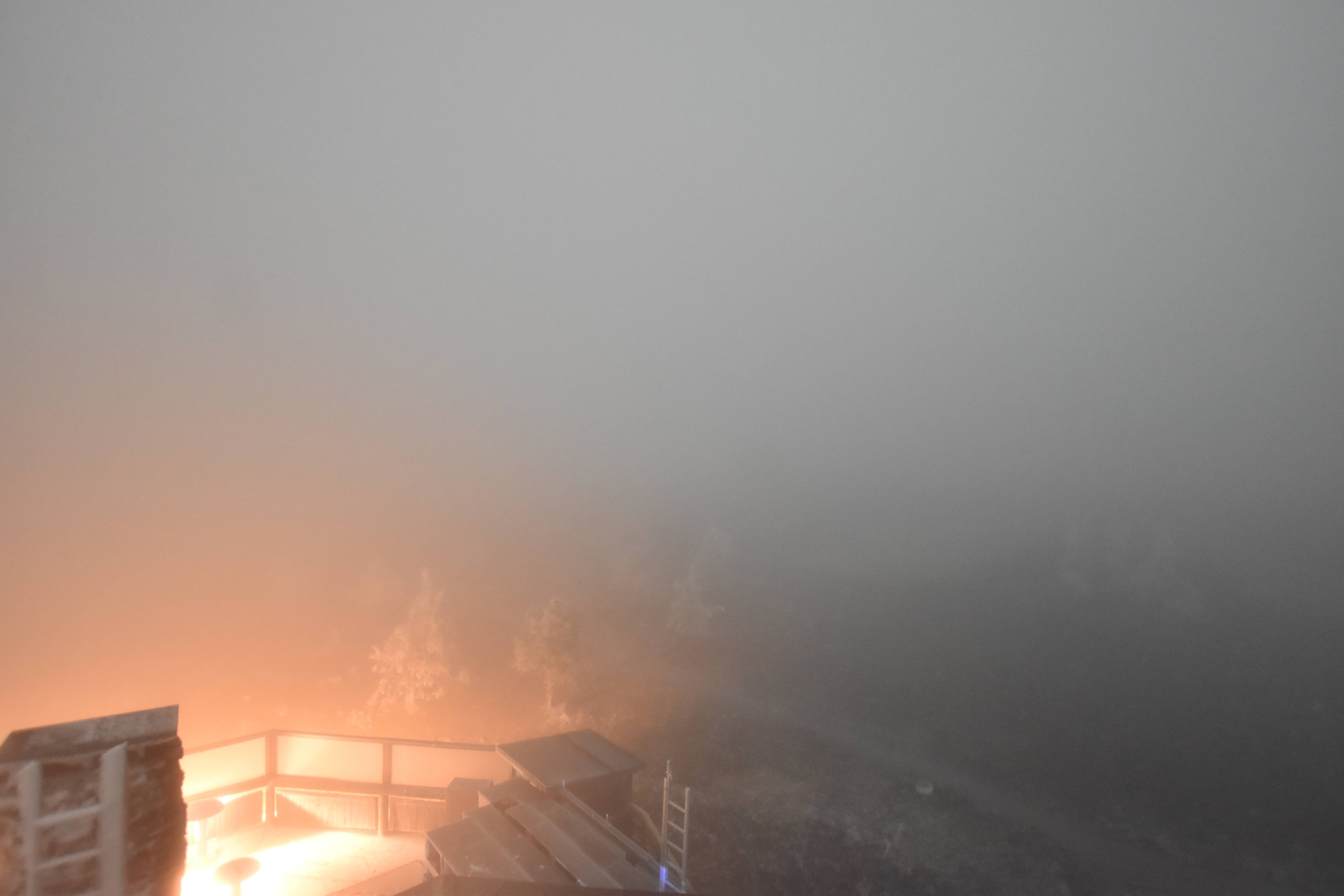 Webcam Webcam Neve Levi